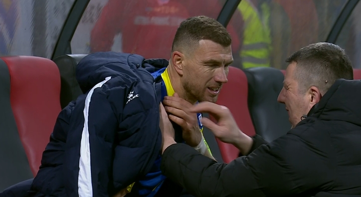 哲科伤退点球战称天意 波黑队长右肩伤情乐观