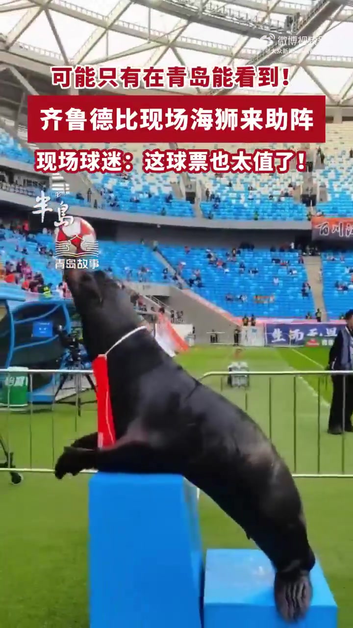 齐鲁德比引入海狮表演 现场顶球引球员侧目