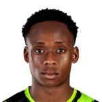 乌戈·戈德温-马利费