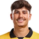 罗德里戈·戈麦斯