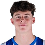 兰德尔·皮尼略斯