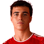 豪尔赫·阿拉斯图伊