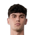 罗德里戈·里贝罗