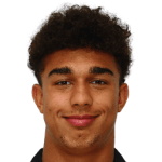 达维德·瓦瓦索里