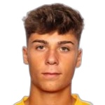 比森特·阿夫里尔