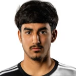 埃尔文·托雷斯