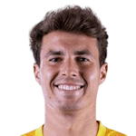 亚历克斯·多明格斯