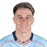 费德里科·塞尔维